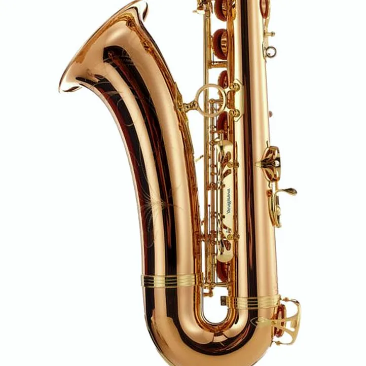 Yanagisawa T-WO2 Tenor Sax
