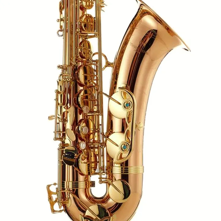 Yanagisawa T-WO2 Tenor Sax